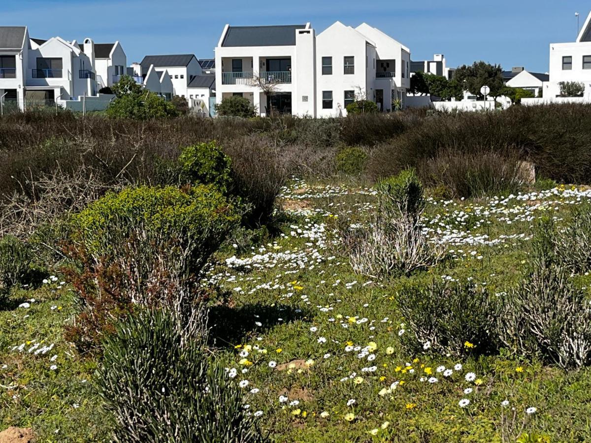 Clam Lagoon Langebaan Εξωτερικό φωτογραφία