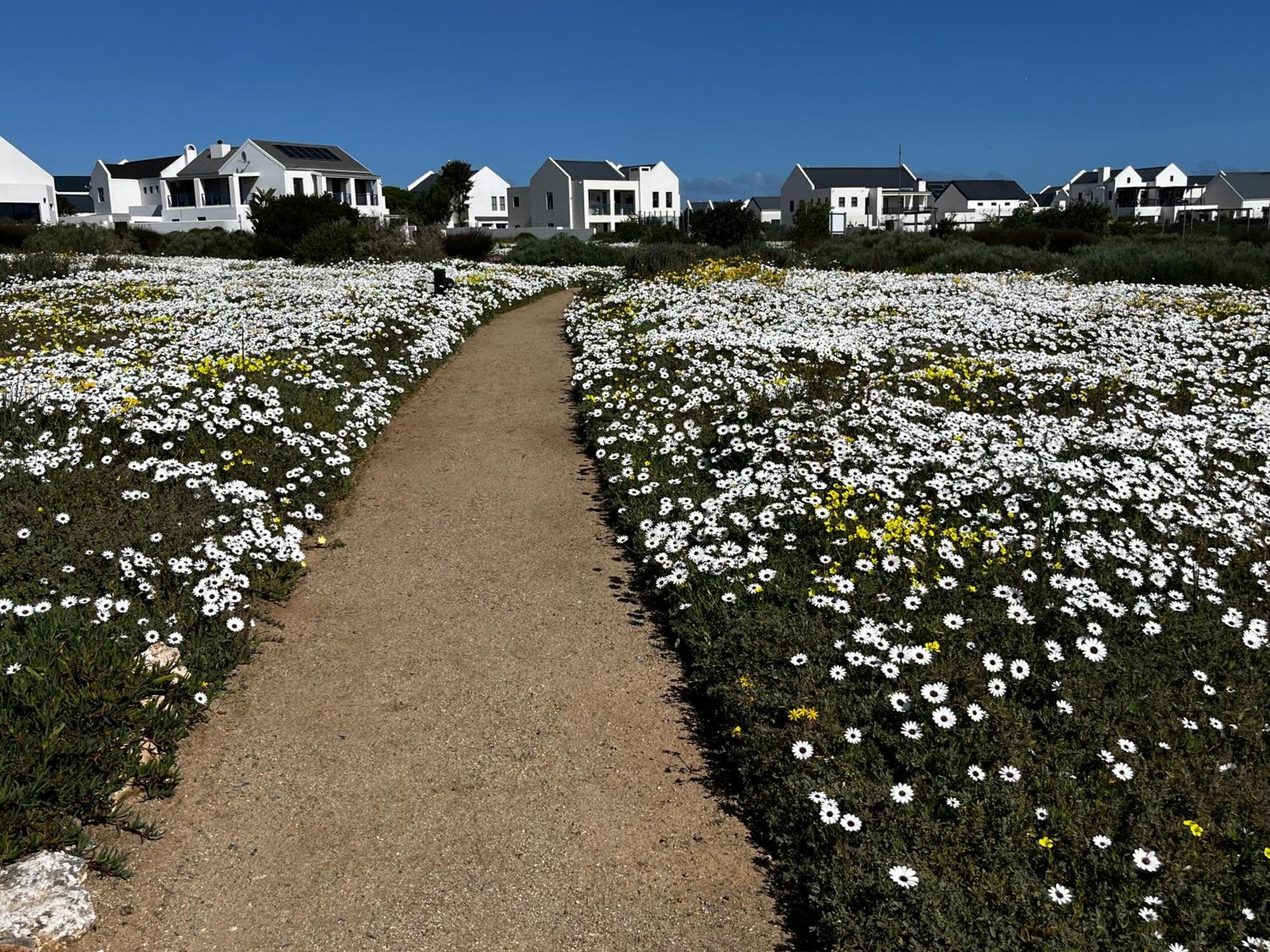 Clam Lagoon Langebaan Εξωτερικό φωτογραφία